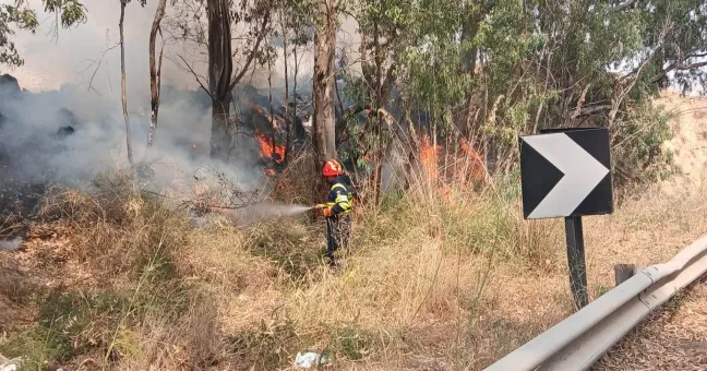 Incendi in Sicilia, non basta più spegnerli.