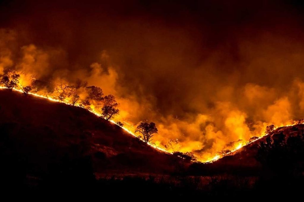 Incendi in Sicilia, non basta più spegnerli.